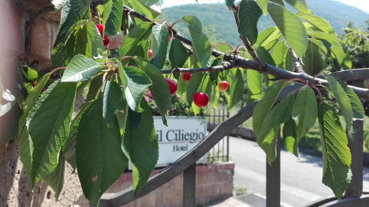 Guesthouse Il Ciliegio Sorbo Serpico Exterior foto